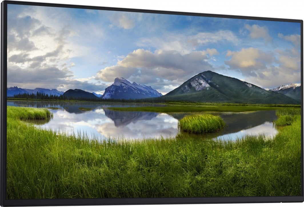 Monitor Dell P2425H Professional, 23.8", FHD, i zi