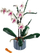 Set LEGO Creator Expert 10311 Orchid, 608 pjesë