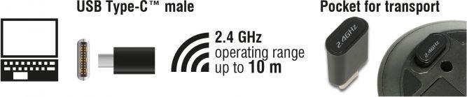 Maus Delock 12526, wireless, USB, i zi