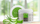 Xhel Talya Herbal Aloe Vera, 50 ml
