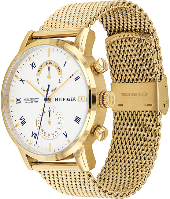 Orë dore Tommy Hilfiger Kane 1710403