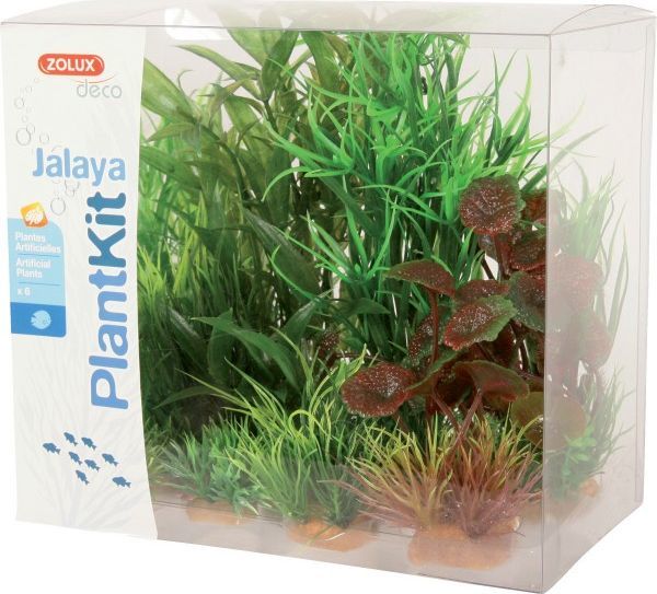 Set bimësh dekorative Zolux PlantKit Jalaya, 6 copë, të gjelbra