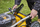 Kositëse bari Dewalt XR (DCMW564N) 2x18V