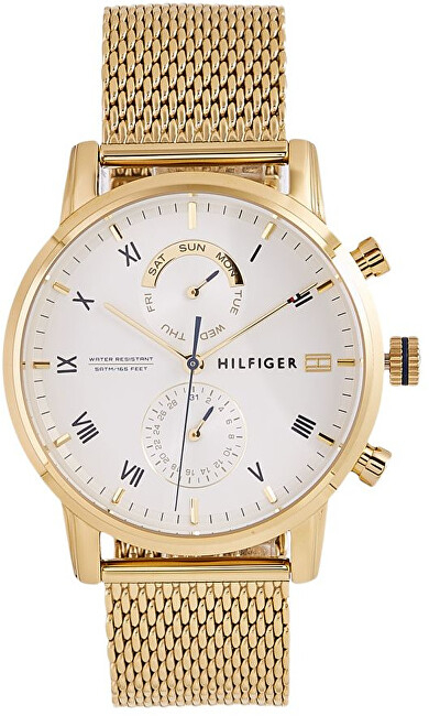 Orë dore Tommy Hilfiger Kane 1710403