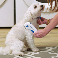 Krehër elektrik kundër pleshtave PUPPY, i bardhë Krehër elektrik kundër pleshtave PUPPY, i bardhë
