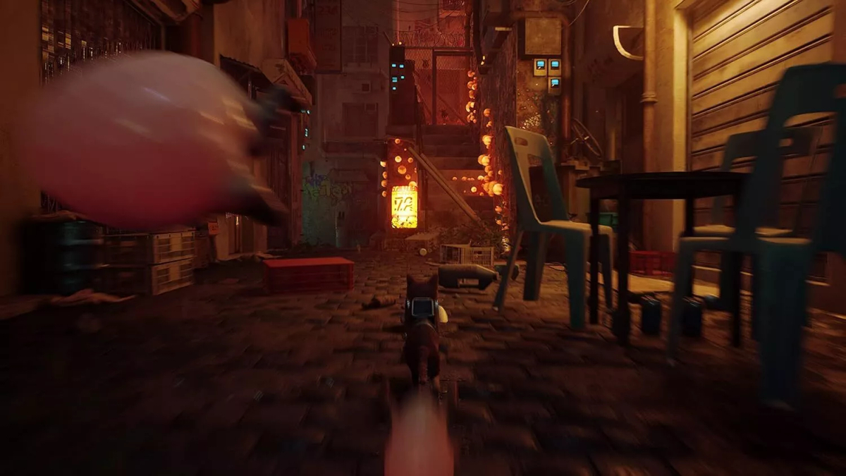 Stray Disk Version PS5