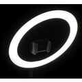 Tripod FIXED LED, i zi