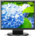 Monitor NEC MultiSync E172M (60005020), WLED, 17'', SXGA, i zi