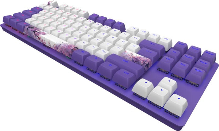 Тастатура Dark Project 87 Violet Horizons, Dark Project G3MS, Violet Horizons