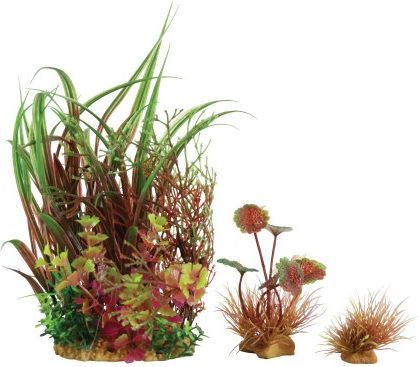Set bimë dekoruese për akuarium Zolux PlantKit Wiha, 3 copë, shumëngjyrëshe