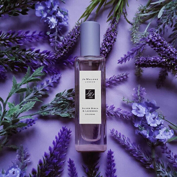 Колонска вода Jo Malone Silver Birch & Lavender