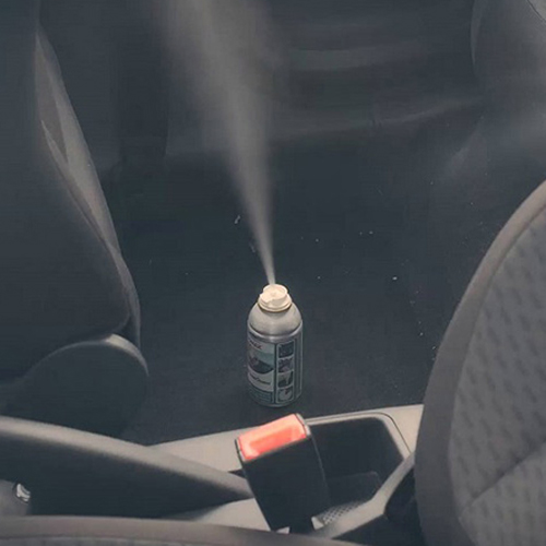 Pastrues Sonax, i sistemit të auto-klimave, 100 ml