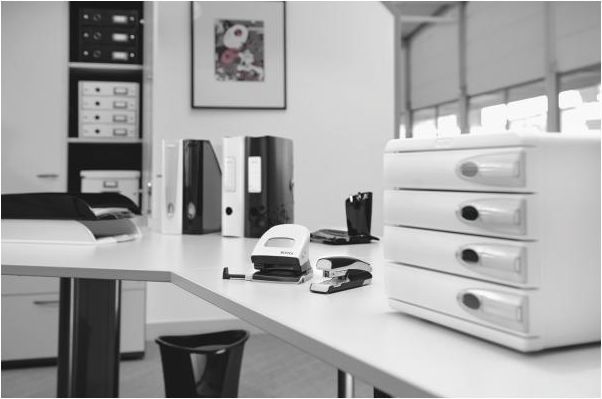 Kapëse për dokumente Leitz NeXXt Series 5502 (10K193N)
