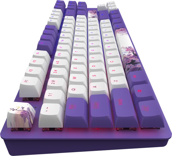 Тастатура Dark Project 87 Violet Horizons, Dark Project G3MS, Violet Horizons