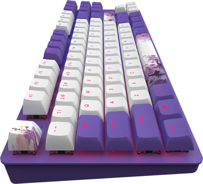 Tastierë Dark Project 87 Violet Horizons, Dark Project G3MS, Violet Horizons, US