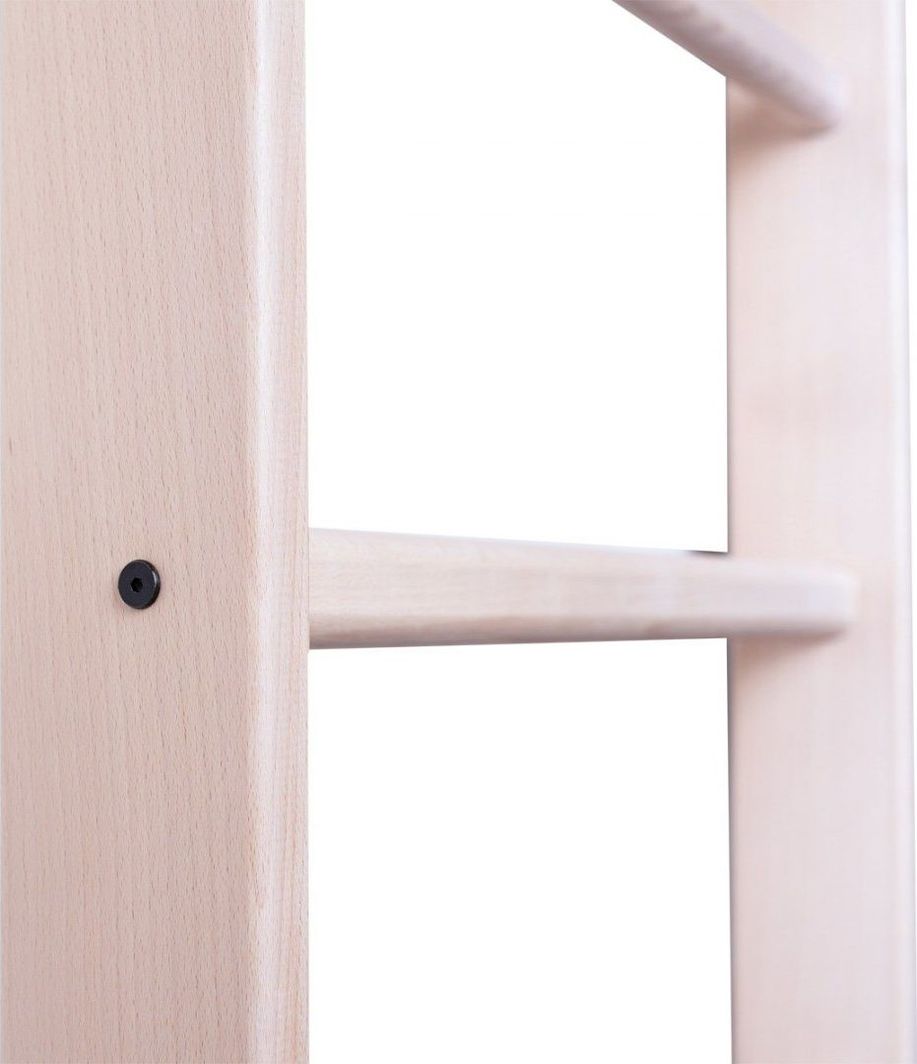 Shkallë për gjimnastikë Benchk (830276), 220x67cm