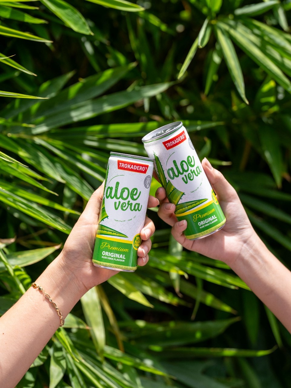 Pije Troko Aloe Vera, 240 ml