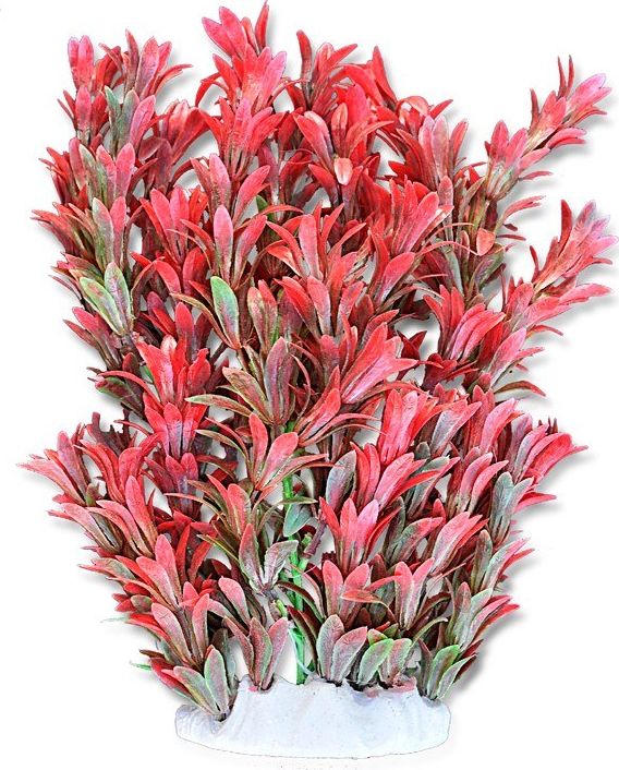 Bimë për akuarium Happet, 20 cm