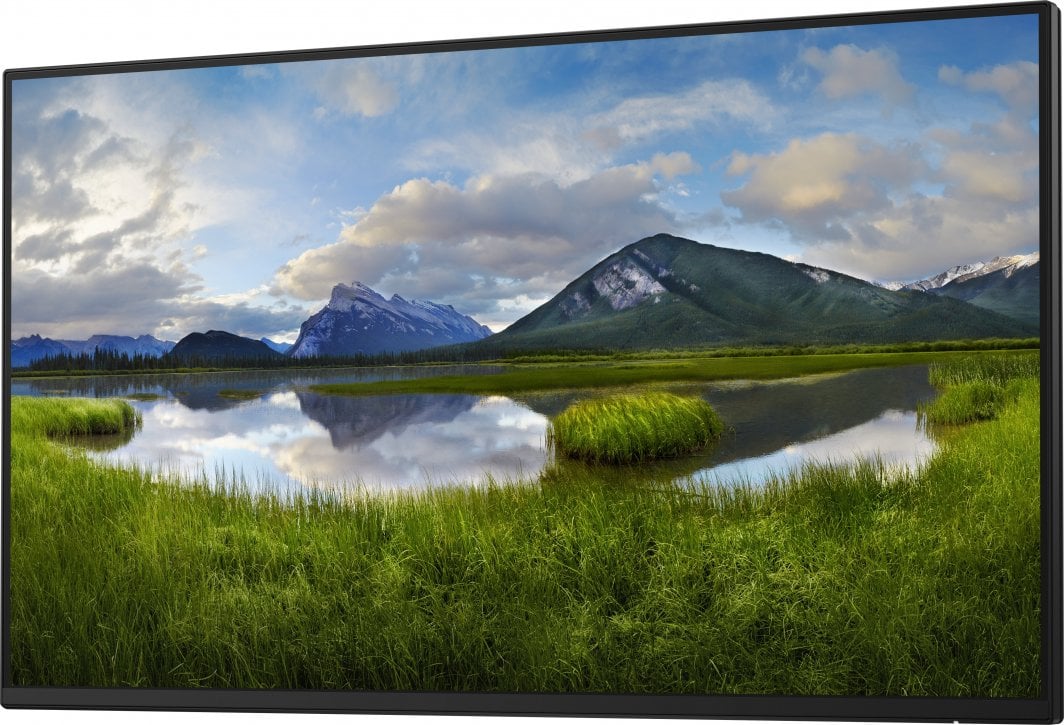 Monitor Dell P2425H Professional, 23.8", FHD, i zi