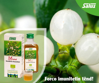 Salus - MISTEL, 200 ml - Lëng bimor për sistem imunitar