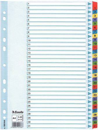Dosje për dokumente Esselte A4 Mylar (10K055E)