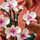 Set LEGO Creator Expert 10311 Orchid, 608 pjesë