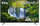 Televizor TCL 43P615 - 43''(108cm), 4K UHD, i zi