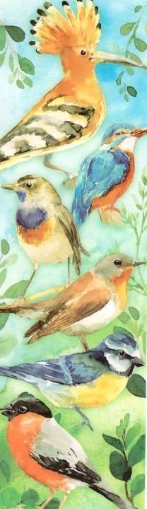 Faqeshënues Plan - Birds, shumëngjyrësh