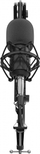 Mikrofon Genesis Radium 300 XLR tripod, filter (NGM-1695)