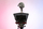 Teleprompter Newell Desview T2, i zi