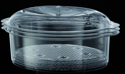 Tenxhere me avull Russell Hobbs 19270-56, çelik/transparent