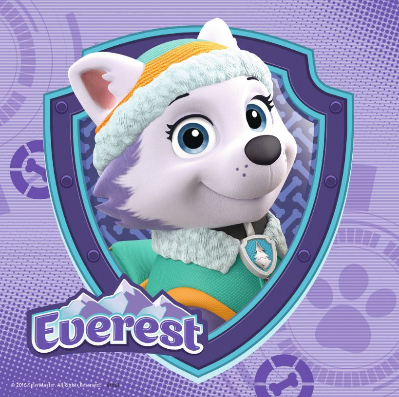 Puzzle Ravensburger Paw Patrol Sky&Everest (080083), 3 x 49 elemente