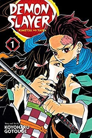 Demon Slayer Kimetsu No Yaiba Vol 1 - Koyoharu Gotouge Demon Slayer Kimetsu No Yaiba Vol 1 - Koyoharu Gotouge