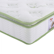 Dyshek Aloe Vera HM372.12