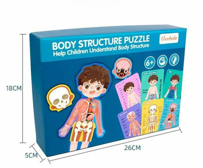 Puzzle Struktura trupore, djalë, 10024