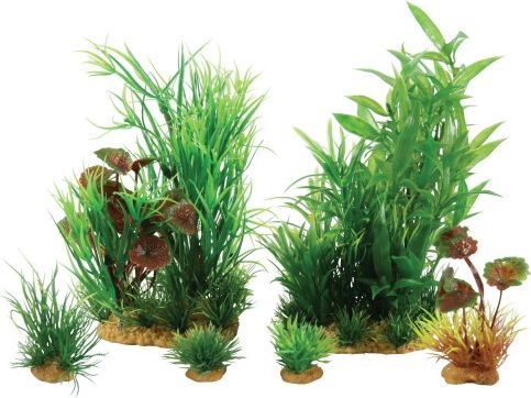 Set bimësh dekorative Zolux PlantKit Jalaya, 6 copë, të gjelbra Set bimësh dekorative Zolux PlantKit Jalaya, 6 copë, të gjelbra