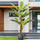 Lule artificiale Verde Decor Banana Plant, 280 cm