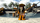 Lojë LEGO Pirates of the Caribbean PC, version dixhital