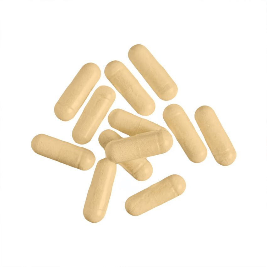 Ashwagandha Kapsula 60