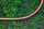 Gyp kopshti për ujitje NEO, Professional, 1/2", 20m, 6-shtresor (15-840)