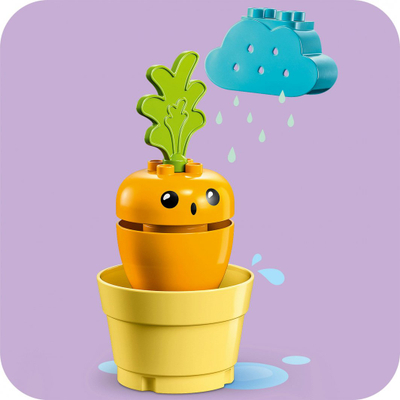 Set LEGO® DUPLO® 10981 Growing Carrots, 11 pjesë