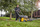 Kositëse bari Dewalt XR (DCMW564N) 2x18V