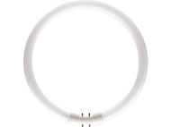Poç Philips MASTER TL5 Circular 60W/830 1CT/10 2GX13
