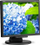 Monitor NEC MultiSync E172M (60005020), WLED, 17'', SXGA, i zi