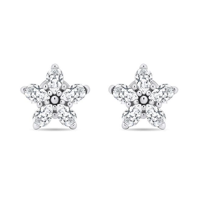 Vathё Brilio Silver Flowers EA591W