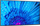 Monitor Nec MultiSync M651, 65 ", 4K Ultra HD, i zi