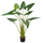 Lule artificiale Verde Decor Alocasia, 160 cm