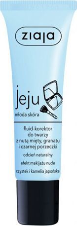 Krem fshehës Ziaja Fluid