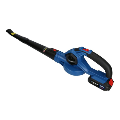 Fryrëse Gjethesh BLAUPUNKT CB2010