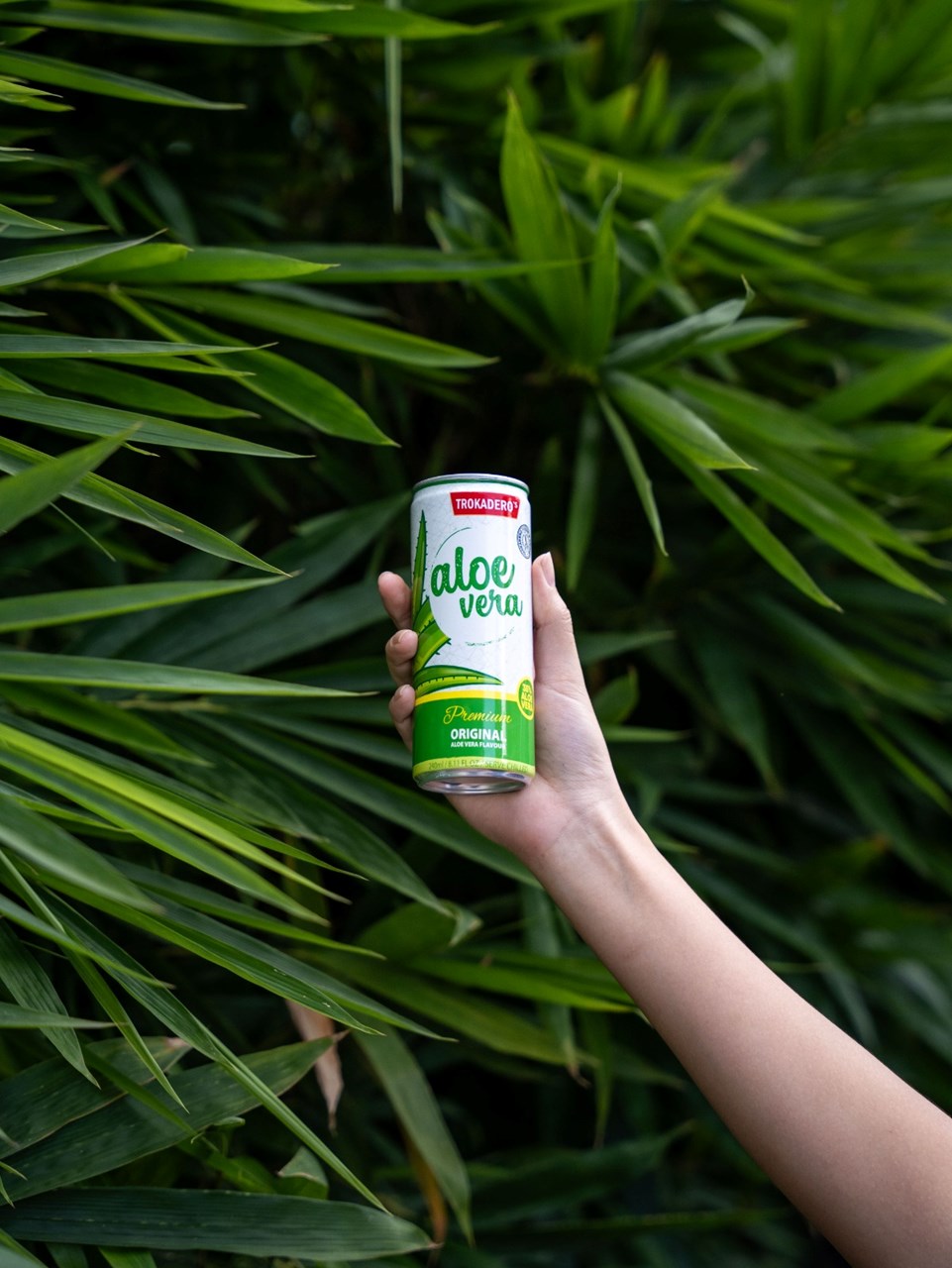 Pije Troko Aloe Vera, 240 ml